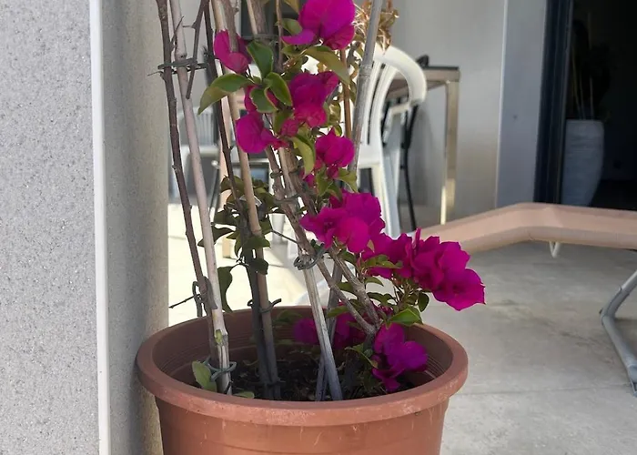 Casa vacanze La Maison Laurier Lézignan-Corbières
