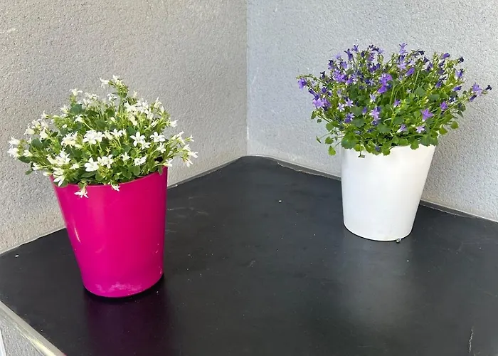 La Maison Laurier * Lézignan-Corbières